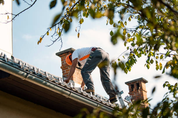 Roof Gutter Cleaning in Alvin, TX