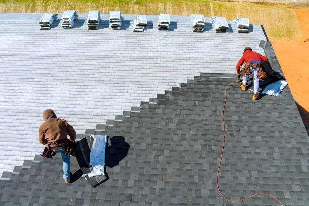 Best Roof Gutter Cleaning  in Alvin, TX