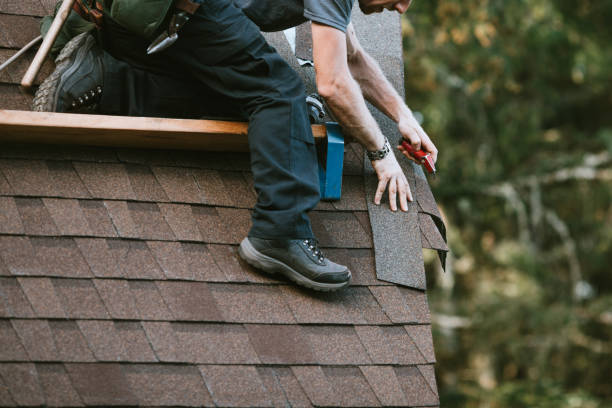 Best Roof Repair Services  in Alvin, TX